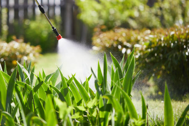 24/7 Emergency Mosquito Control experts in Charlotte Hall, MD
