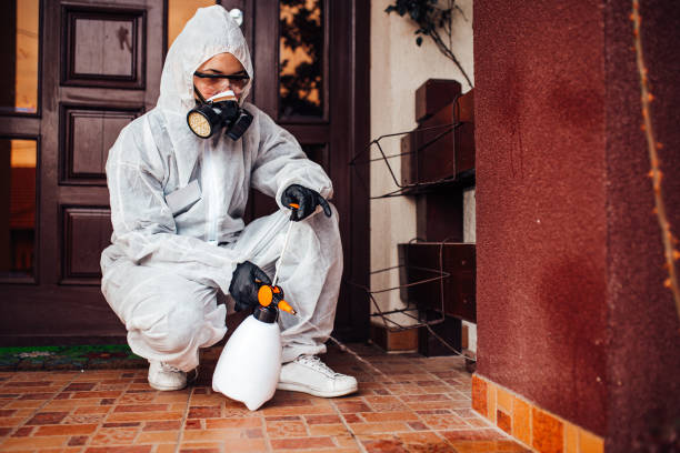 Reliable Mosquito Control contractor in Charlotte Hall, MD by Show Me Pest Control