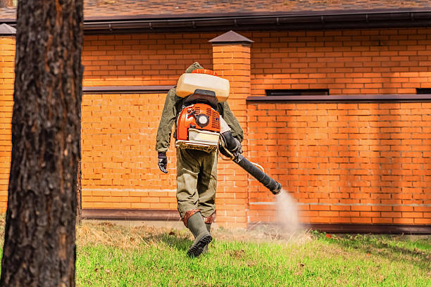 Top rated local Mosquito Control specialists in Charlotte Hall, MD